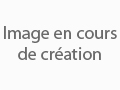 Détails : Ligue d'Improvisation de Touraine